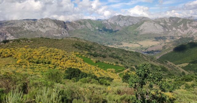 AGROFORes incendios forestales