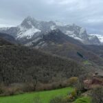 Spectacles dans le « Parc Naturel et Réserve de Biosphère de Ponga »