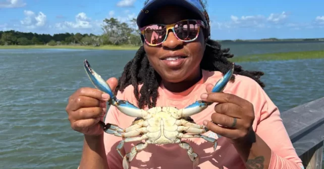 Tia Clark tient un crabe bleu. |