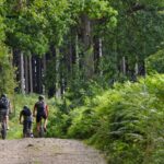 Les Asturies lancent une plateforme numérique : « Cyclisme pour la nature » qui comprend plus de 4 000 kilomètres d'itinéraires