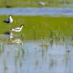 200 millions pour le réseau «Natura 2000» qui abrite Euskadi