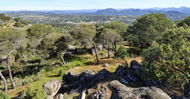 ADI Sierra Oeste Madrid ecoturismo