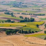 Castilla-La Mancha assouplit les éco-régimes pour les cultures ligneuses et les espaces de biodiversité