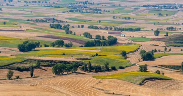 Castilla-La Mancha eco-regímenes cultivos leñosos biodiversidad