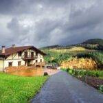 Forum social de la biodiversité Euskadi: «conclave» avec les agents qui conservent la nature