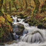 Galice : récupérer la forêt atlantique dans le « Parc Naturel de Fragas do Eume »