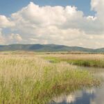 Journée mondiale des terres humides 2025: Castilla-La Mancha organise des activités gratuites