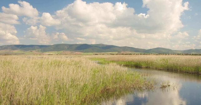 Día Mundial Humedales 2025 Castilla-La Mancha organiza actividades