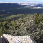 L'Andalousie veut rapprocher les montagnes et la forêt des citoyens