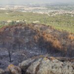 La région de Murcie récupère la zone forestière de « El Cabezo del Palomar » : 14 hectares touchés par un incendie de forêt