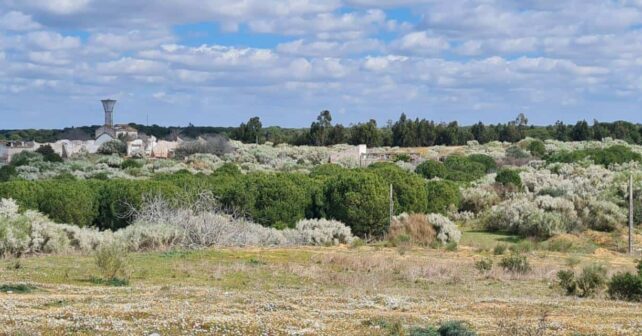 urbanización Rompido Este Huelva