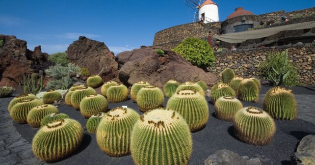 Canarias islas emergencia hídrica