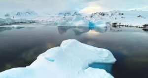 Meseta Antártica vida microbiana