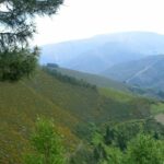 Les Asturies amélioreront les forêts publiques d'Ibias