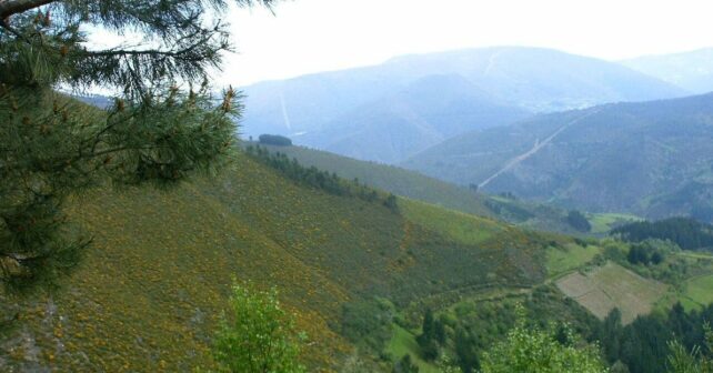 montes públicos Ibias