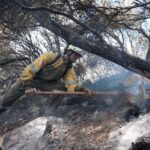 Les pompiers de Navarre intègrent des troupes pour la « campagne forestière hivernale »