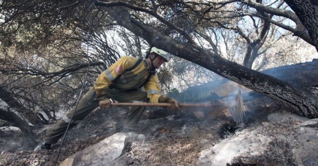 Bomberos Navarra campaña forestal invierno