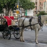 Malaga éliminera la puissance en 2025, comme alternative, un service de vélo électrique sera promu