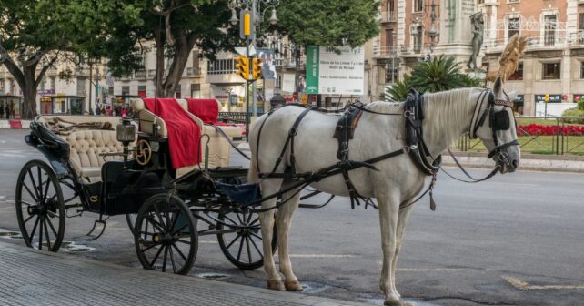 Málaga coches caballos 2025 bicicletas eléctricas