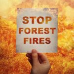 Projet Firepoctep+ : prévention et extinction des incendies de forêt à La Raya (Estrémadure)