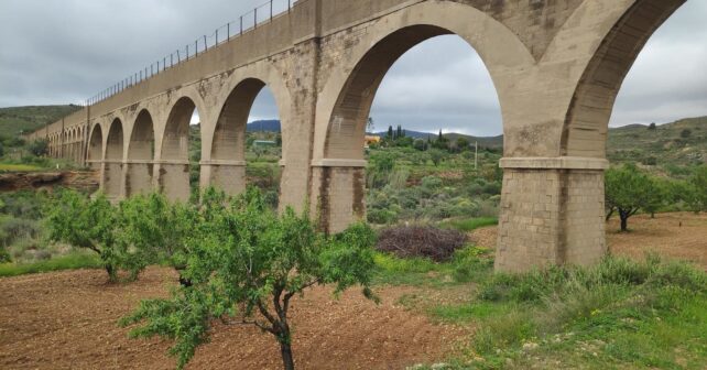 Spartaria Murcia masas forestales resilientes