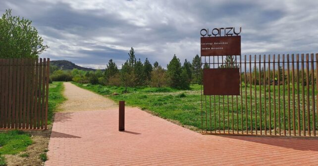 Plan Director Jardín Botánico Olarizu