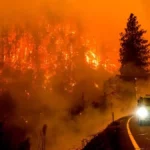 Si nous ne faisons rien, les incendies de forêt comme celui de Los Angeles seront « extrêmement fréquents »