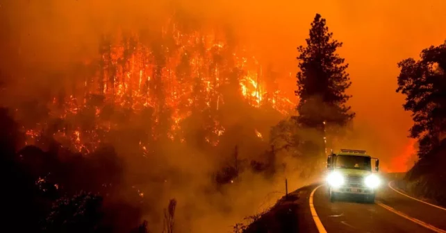 Incendios forestales Los Ángeles frecuentes