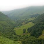 Le Cantabria soutiendra le FNYH dans son projet «Bosques flottants» sur le Pasiega et l'Est Mountain