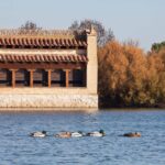 Alarme: Ils veulent extraire des milliers de mètres cubes «d'eau» de la «réserve naturelle des Las Lagunas de Villafáfila»