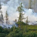 Cantabrie et délégation gouvernementale apprécient leur collaboration pour lutter et empêcher les incendies de forêt