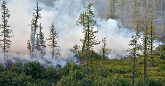 Cantabria Delegación Gobierno incendios forestales