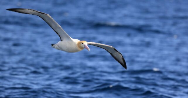 España Tratado Global Océanos