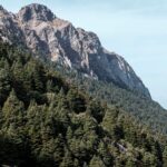 Joyeux 40e anniversaire du «parc naturel de la Sierra de Grazalema»