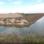 L'acquisition de la ferme «plaines» améliorera la conservation de «l'espace naturel de Doñana»