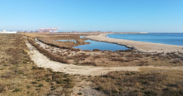 La ampliación de la’ ZEPA del Delta del Llobregat’ ya está ‘judicializada’