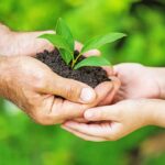 La cantabrie fait la promotion des vergers écologiques scolaires