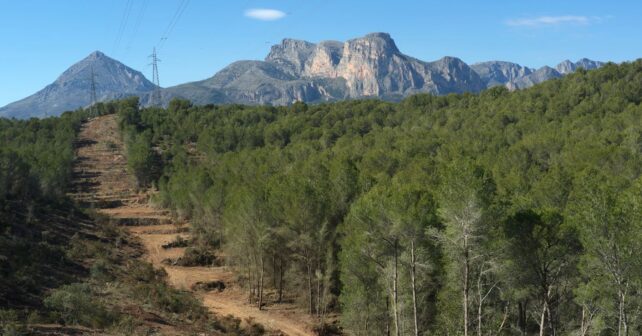 Comunidad Madrid limpieza desbroce montes prevenir incendios forestales