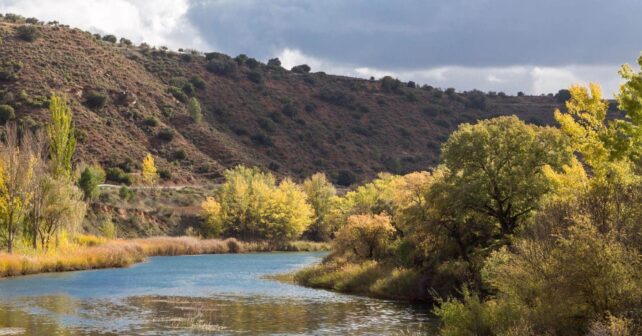 La Campana dominio público forestal Castilla-La Mancha