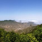 Le nouveau «plan forestier des îles Canaries» commence à protéger et à améliorer les montagnes