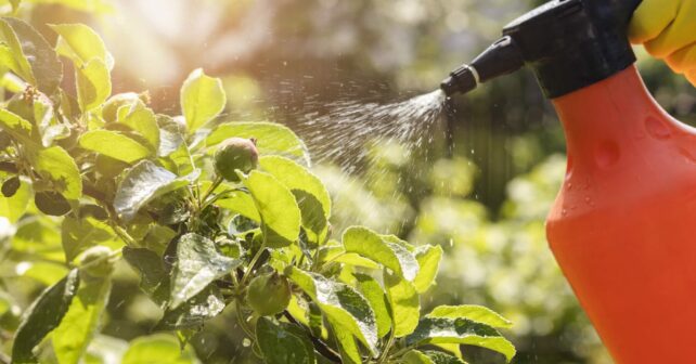 Plaguicidas efectos devastadores biodiversidad