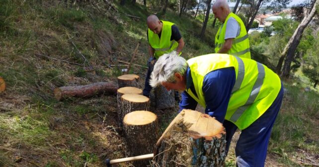 Navarra ayudas proyectos educación sensibilización voluntariado ambiental