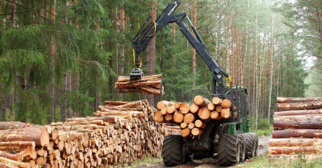 Reglamento UE Deforestación EUDR medio ambiente derechos humanos