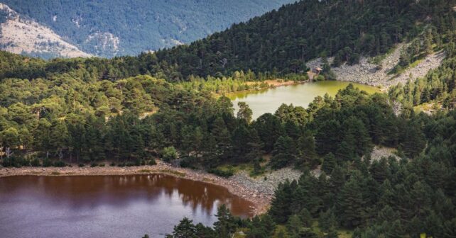 Balance Primer Congreso Nacional sobre Montes Públicos