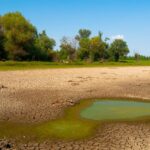 L'Espagne subit les conséquences du réchauffement climatique ressentant une aridité climatique jamais vue