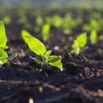 La communauté en ligne est attachée à l'harmonie entre la biodiversité et l'agriculture