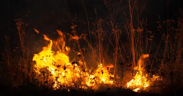 Hernán-Valle defensa forestal Infoca