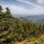 Les «Montes de Málaga» seront désormais traités comme une «zone de conservation spéciale»