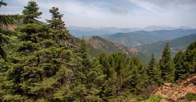 Montes Málaga Zona Especial Conservación