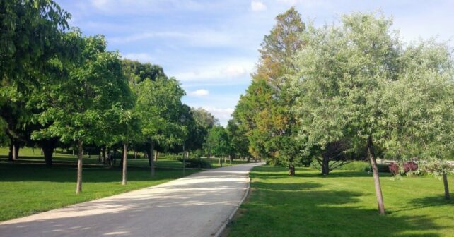 Madrid agilizará proyectos estudios técnicos zonas verdes gestión del agua